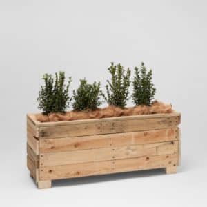 Low pallet planter box event furniture hire